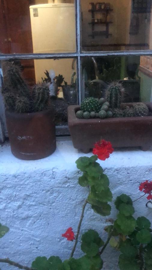 Home Stay Maria Hidalgo del Parral Buitenkant foto
